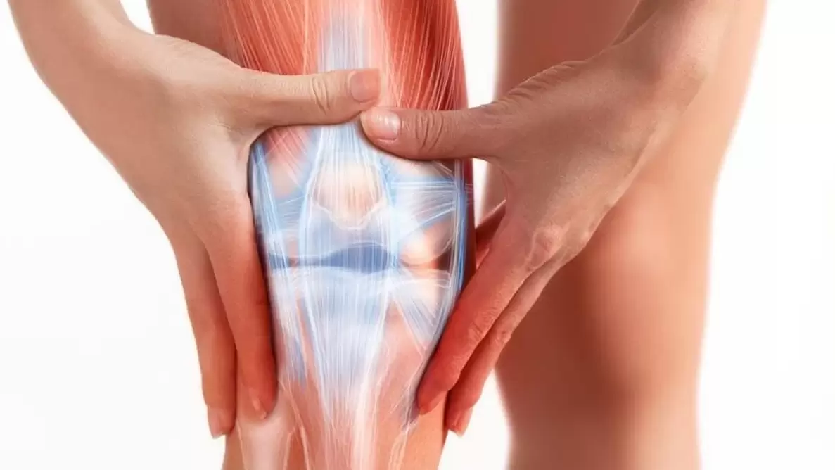 El gel Osteflex se aplica en la zona de la articulación afectada tres veces al día.